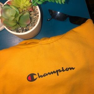 Champion sweatshirt